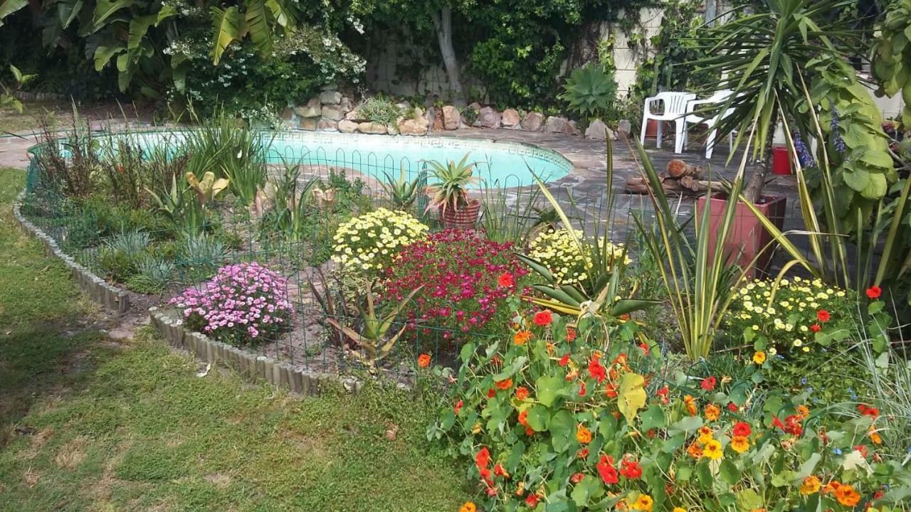 11 Lucius Way Apartment Cape Town Ngoại thất bức ảnh